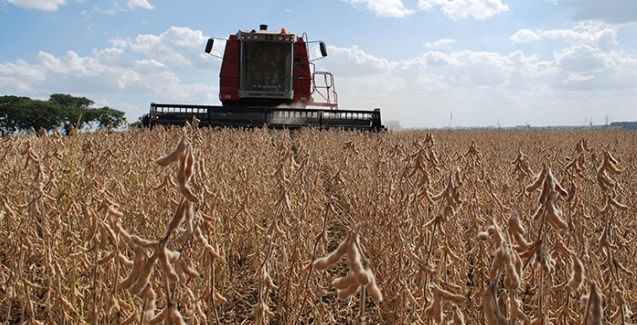 Sem chuva, Mato Grosso acelera a colheita de soja