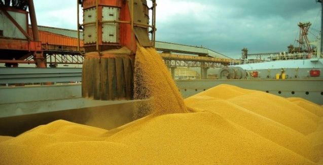 Soja e milho respondem por mais de 90% das exportações Mato-Grossenses
