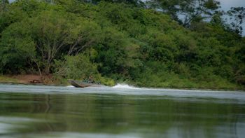 Cepesca define período de defeso entre outubro e janeiro