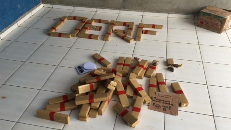 Polícia apreende 50kg de maconha dentro de residência e quatro são presos 