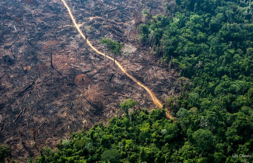 Mato Grosso tem a maior taxa de desmatamento nos últimos 10 anos