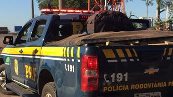 Após perseguição, jovens são detidos com mais de meia tonelada de droga