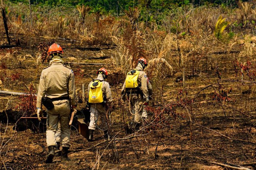 Maioria dos focos de calor em MT é em áreas privadas, assentamentos e terras indígenas