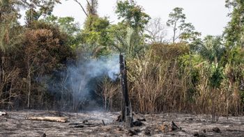 Terras indígenas na Amazônia têm maior número de queimadas desde 2011