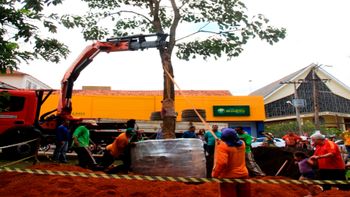 Secretaria de Meio Ambiente faz replantio de Ipê da Praça Brasil