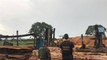 PF prende proprietária de madeireira por crime ambiental em MT