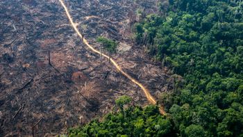 Mato Grosso tem a maior taxa de desmatamento nos últimos 10 anos