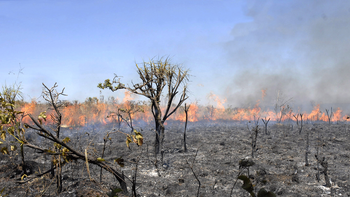 Com número recorde de queimadas, fumaça cobre os céus do Brasil