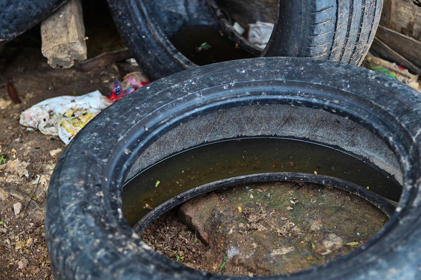 Período de chuvas exige cuidados com risco de dengue e diarreia