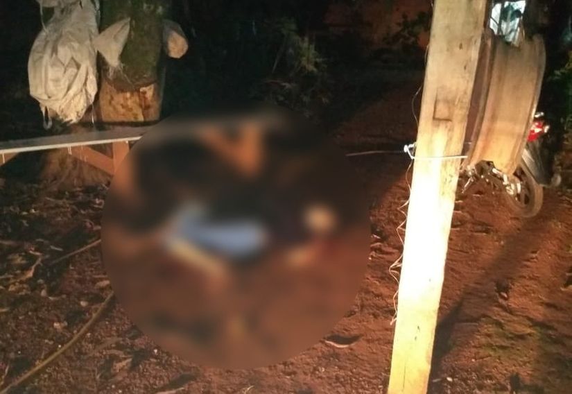 Filho volta do trabalho e encontra mãe morta a facadas em baixo de arvore