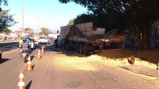 Motorista perde controle de carreta, bate em arvores e foge após acidente 