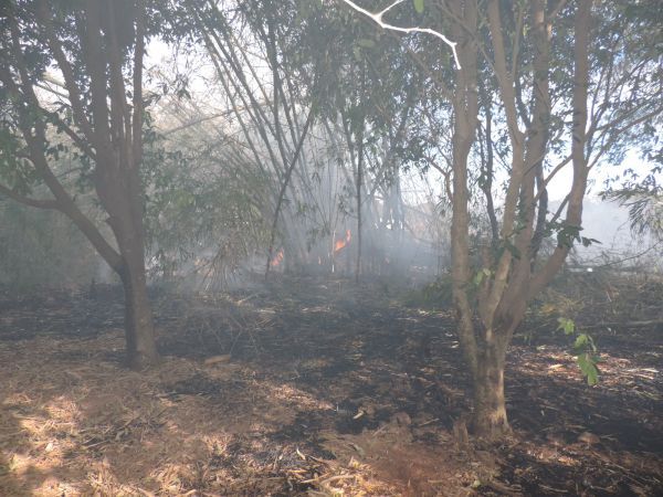 Preservação da saúde e do meio ambiente