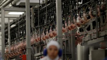 Chile, China e Egito anunciam retomada da importação de carne brasileira