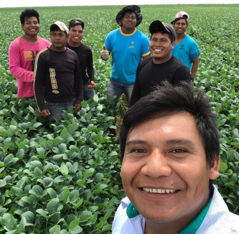 Agricultores indígenas plantam quase 18 mil hectares de grãos em Mato Grosso