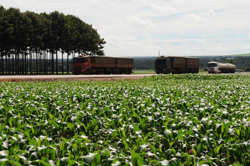 Concessionária alerta para fluxo da BR-163 durante escoamento de soja