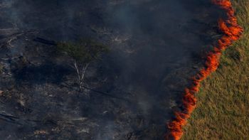 Produtores negam participação em plano de atear fogo a florestas no PA