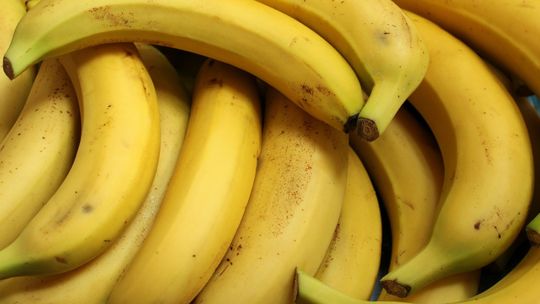 Os três alimentos que ajudam os bebês desnutridos a se recuperar mais rápido