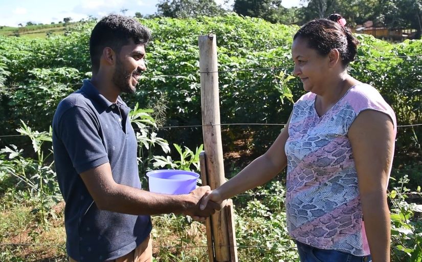 Prefeitura e Embrapa implantam nova cultura e otimizam produção no assentamento Laço de Ouro