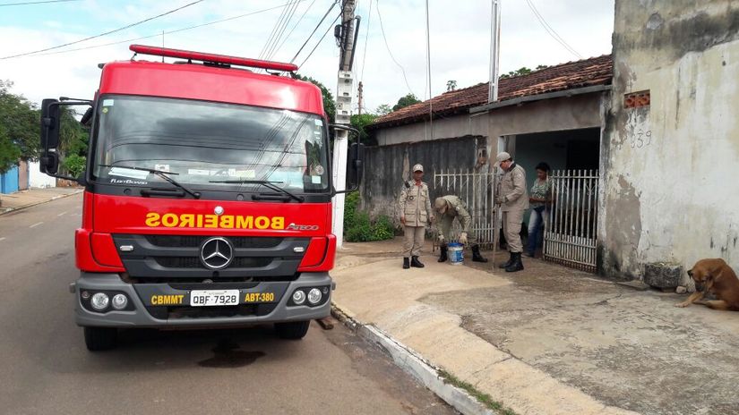 Bombeiros apreendem cobra em residência na Vila Aurora