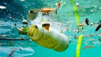 Poluição plástica é tema do Dia Mundial do Meio Ambiente 2018