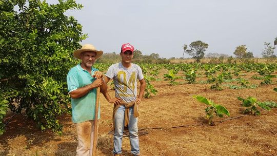 Propriedade rural mantida por pai e filho é considerada modelo pela eficiência na produção
