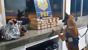 Passageira de ônibus é presa com cerca de 30 kg de maconha