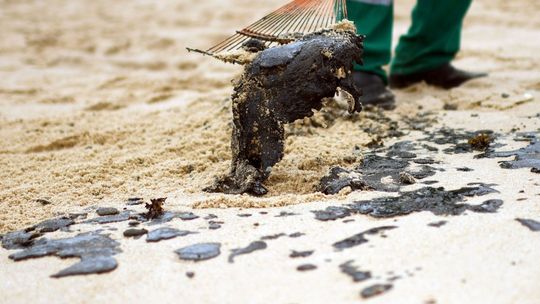 Mais de 100 dias após a primeira mancha surgir, 942 pontos do litoral já foram atingidos pelo óleo