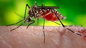 Secretaria de Saúde alerta sobre dengue durante período chuvoso