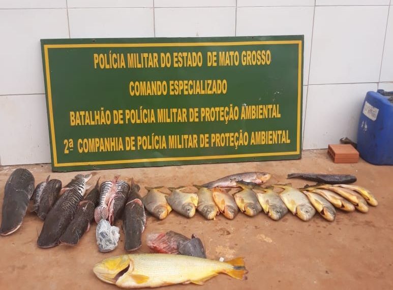 Polícia Ambiental apreende pescado em casa do Altamirando
