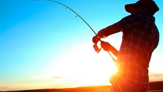 Projeto que proíbe pesca por cinco anos será debatido em Rondonópolis