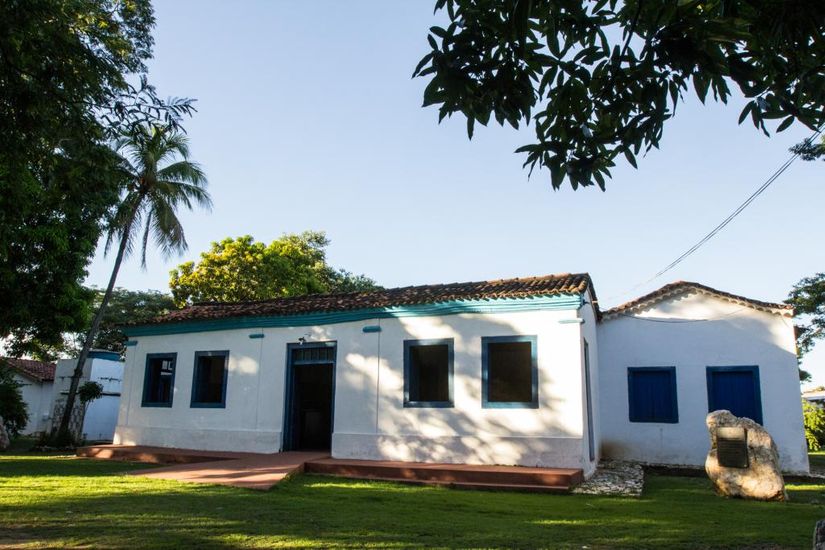 Museu de História Natural será reaberto ao público