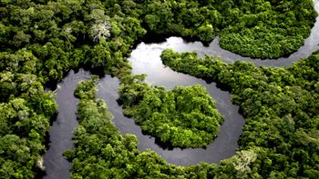 Governo faz acordo internacional para criar unidades de conservação na Amazônia