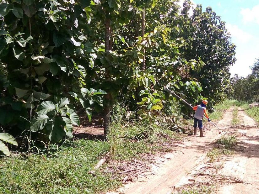 Atividades de ressocialização envolvem mais de 4 mil reeducandos