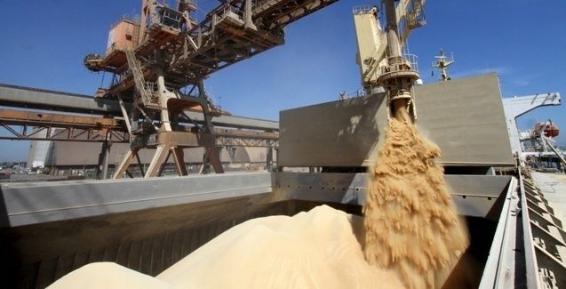 Brasil deve exportar em 2017 mais soja e menos milho que o previsto, diz Anec