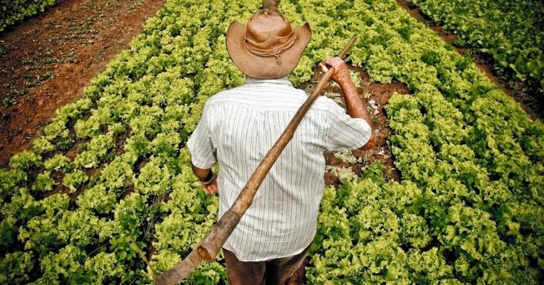 Mudanças no Pronaf beneficiam cooperativas da agricultura familiar