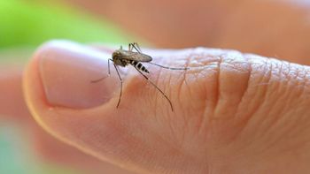 Dia D de combate ao mosquito Aedes será neste sábado 