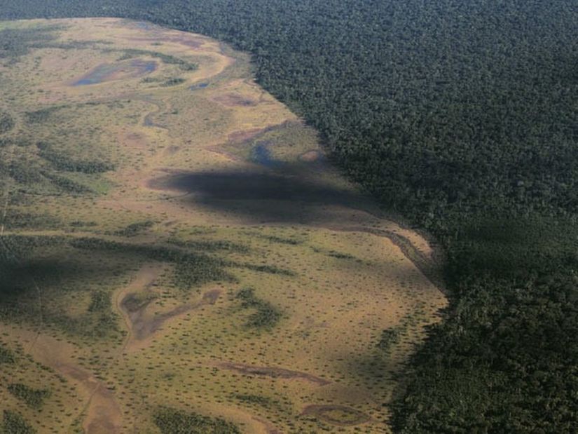 Desmatamento dispara no Xingu, um dos últimos 'escudos' da Amazônia