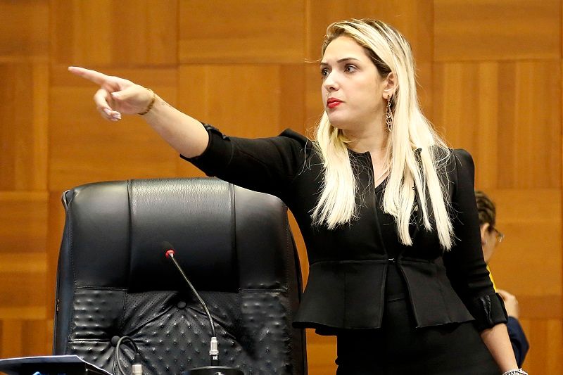 Seis deputados lideram para a AL