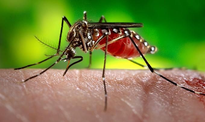 Homem de 51 anos morre com suspeita de dengue em Sinop