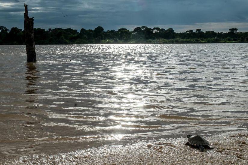 Sema alerta para restrição da pesca em áreas de proteção integral