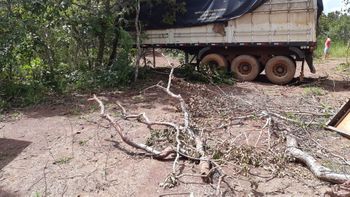 Forças de Segurança descobrem desmanche de caminhões na zona rural