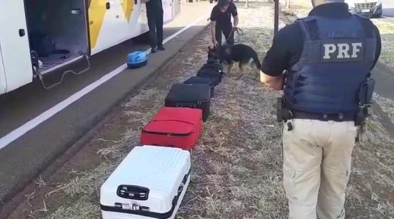 Droga é apreendida no corpo e em mochila de passageira