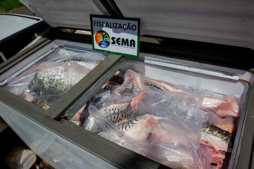 Balanço aponta 8,8 toneladas de pescado apreendidas durante período de defeso