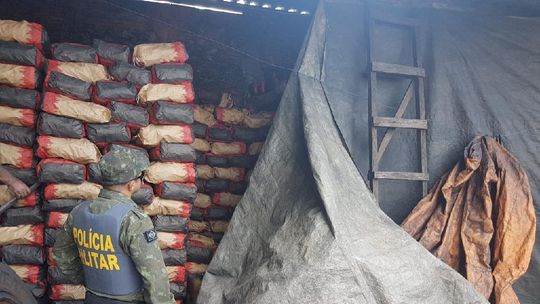 Empresária é multada em R$ 60 mil após ser flagrada com 40 toneladas de carvão