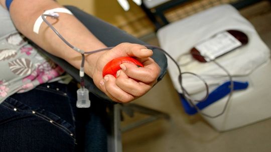 Servidores ampliam campanha de doação de sangue
