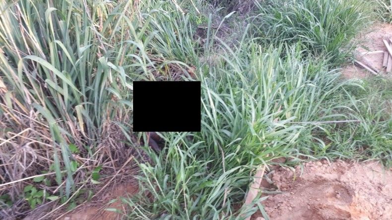 Corpo de mulher em estado de decomposição é encontrado em matagal no interior 
