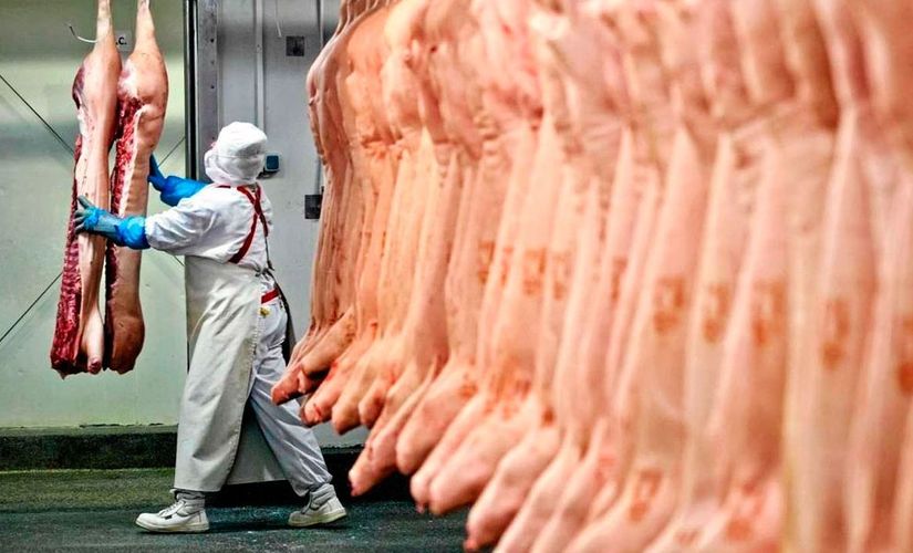 UE e 14 países suspendem temporariamente importação de carne brasileira