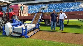 Secel realiza troca parcial de gramado e cumpre cronograma