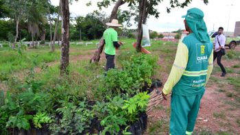 Mais de 500 mudas serão plantadas pelo Verde Novo neste sábado