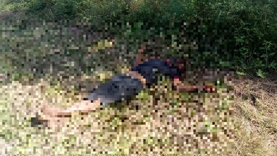Homem é encontrado morto com sinais de espancamento em matagal 